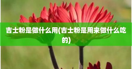 吉士粉是做什么用(吉士粉是用来做什么吃的)