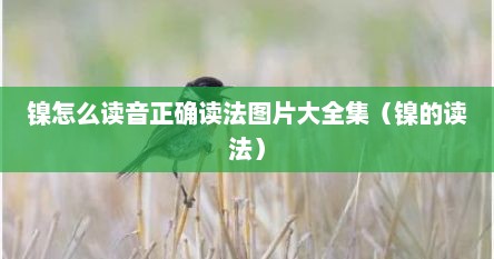 镍怎么读音正确读法图片大全集（镍的读法）