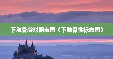 下肢骨龄对照表图（下肢骨性标志图）