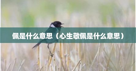 佩是什么意思（心生敬佩是什么意思）