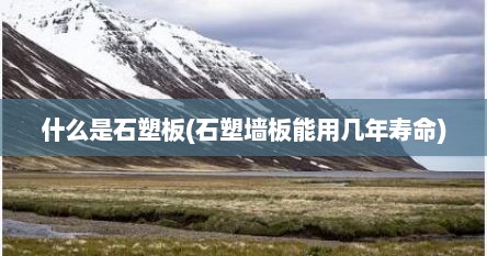 什么是石塑板(石塑墙板能用几年寿命)