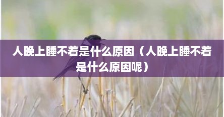 人晚上睡不着是什么原因（人晚上睡不着是什么原因呢）