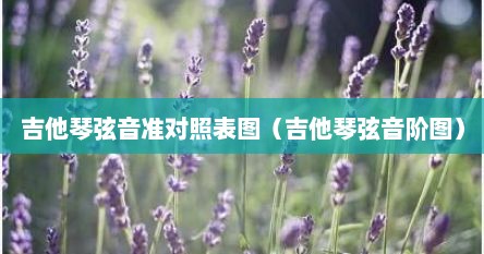 吉他琴弦音准对照表图（吉他琴弦音阶图）