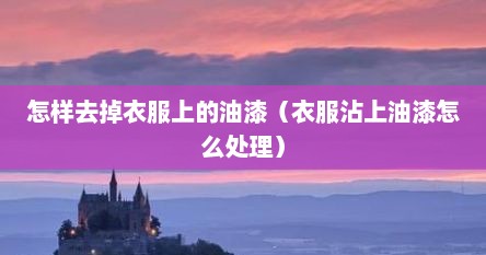 怎样去掉衣服上的油漆（衣服沾上油漆怎么处理）