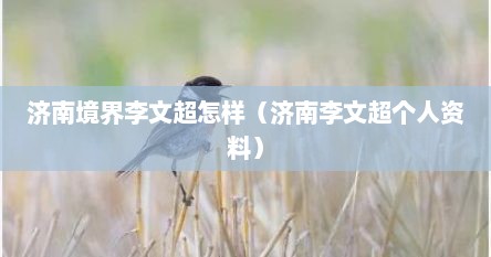 济南境界李文超怎样（济南李文超个人资料）