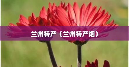兰州特产（兰州特产烟）