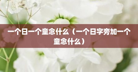 一个日一个童念什么（一个日字旁加一个童念什么）
