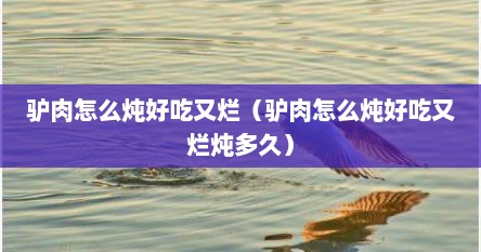 驴肉怎么炖好吃又烂（驴肉怎么炖好吃又烂炖多久）