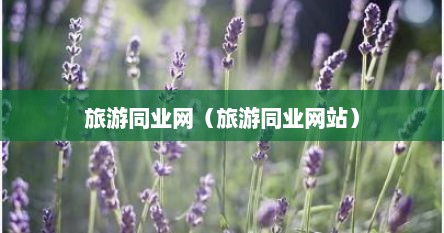 旅游同业网（旅游同业网站）