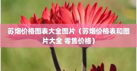 苏烟价格图表大全图片（苏烟价格表和图片大全 零售价格）