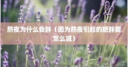 熬夜为什么会胖（因为熬夜引起的肥胖要怎么减）