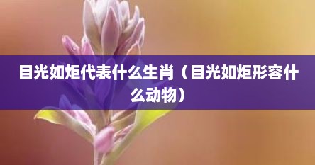 目光如炬代表什么生肖（目光如炬形容什么动物）