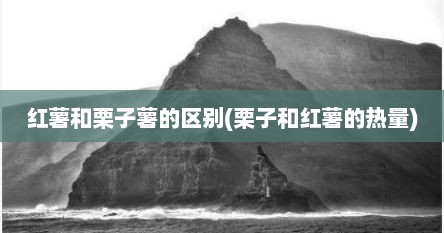 红薯和栗子薯的区别(栗子和红薯的热量)