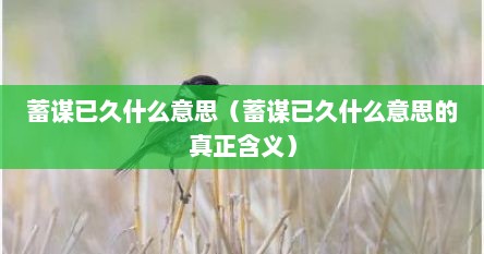 蓄谋已久什么意思（蓄谋已久什么意思的真正含义）