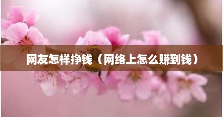 网友怎样挣钱（网络上怎么赚到钱）