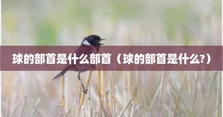 球的部首是什么部首（球的部首是什么?）