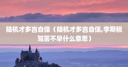 陆机才多岂自保（陆机才多岂自保,李斯税驾苦不早什么意思）