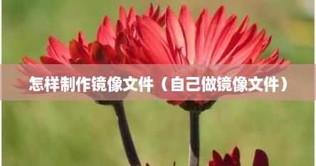 怎样制作镜像文件（自己做镜像文件）