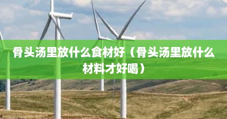 骨头汤里放什么食材好（骨头汤里放什么材料才好喝）