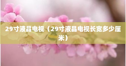 29寸液晶电视（29寸液晶电视长宽多少厘米）