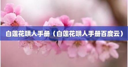 白莲花哄人手册（白莲花哄人手册百度云）