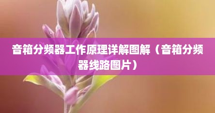 音箱分频器工作原理详解图解（音箱分频器线路图片）