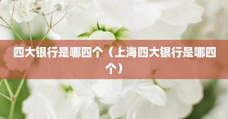 上海四大行五大所（上海的四大银行是哪四大银行）