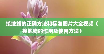 接地线的正确方法和标准图片大全视频（接地线的作用及使用方法）