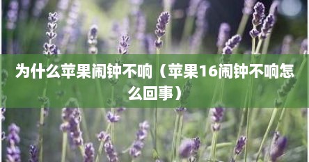 为什么苹果闹钟不响（苹果16闹钟不响怎么回事）