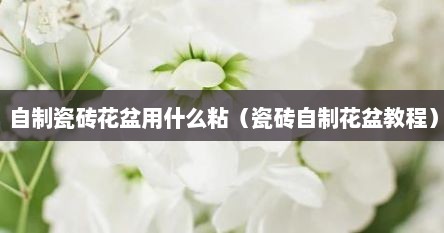 自制瓷砖花盆用什么粘（瓷砖自制花盆教程）