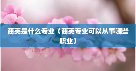 商英是什么专业（商英专业可以从事哪些职业）