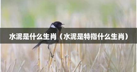 水泥是什么生肖（水泥是特指什么生肖）