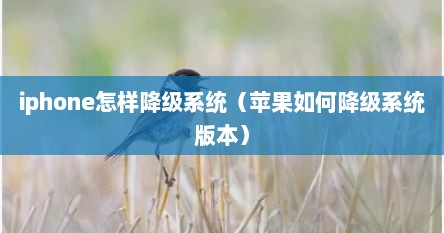 iphone怎样降级系统（苹果如何降级系统版本）