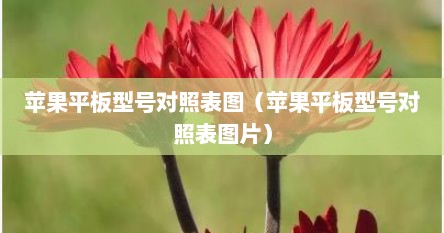 苹果平板型号对照表图（苹果平板型号对照表图片）