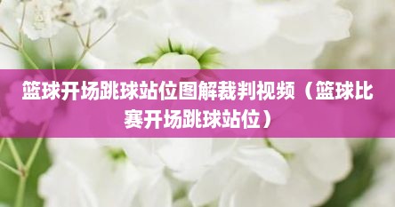 篮球开场跳球站位图解裁判视频（篮球比赛开场跳球站位）