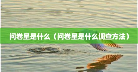 问卷星是什么（问卷星是什么调查方法）
