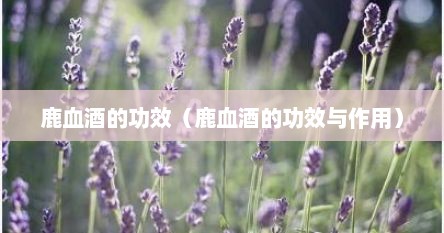鹿血酒的功效（鹿血酒的功效与作用）