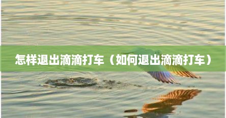 怎样退出滴滴打车（如何退出滴滴打车）