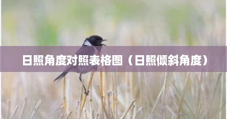 日照角度对照表格图（日照倾斜角度）
