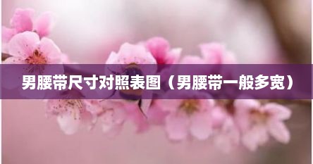 男腰带尺寸对照表图（男腰带一般多宽）