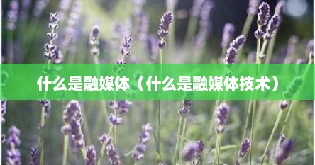什么是融媒体（什么是融媒体技术）