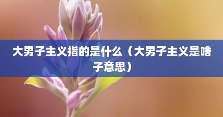大男子主义指的是什么（大男子主义是啥子意思）