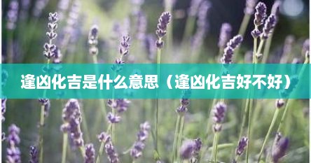 逢凶化吉是什么意思（逢凶化吉好不好）