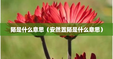 陌是什么意思（安然置陌是什么意思）