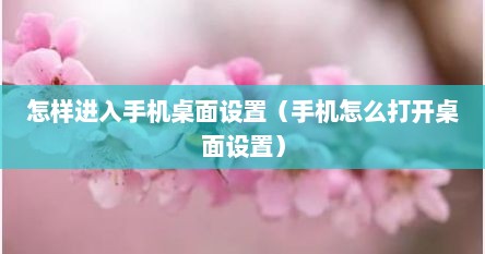 怎样进入手机桌面设置（手机怎么打开桌面设置）