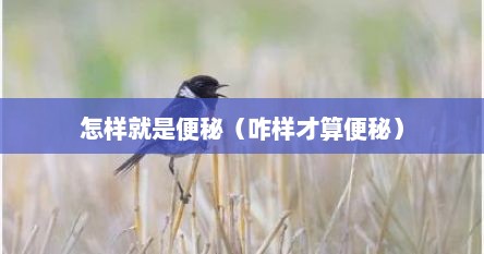 怎样就是便秘（咋样才算便秘）