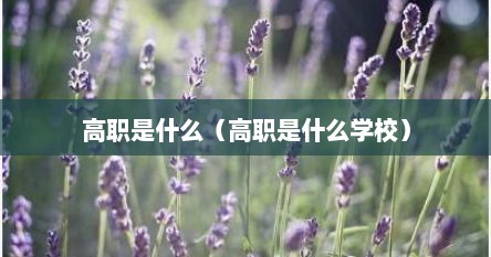 高职是什么（高职是什么学校）
