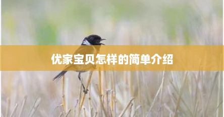 优家宝贝怎样的简单介绍