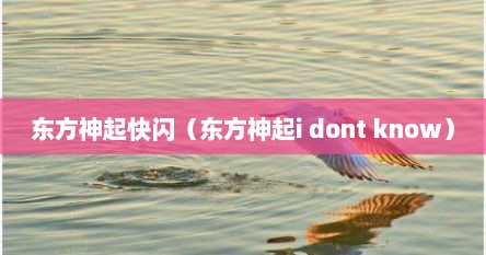东方神起快闪（东方神起i dont know）