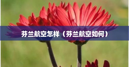 芬兰航空怎样（芬兰航空如何）